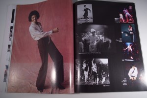 Vibrations Collector - Michael Jackson (07)